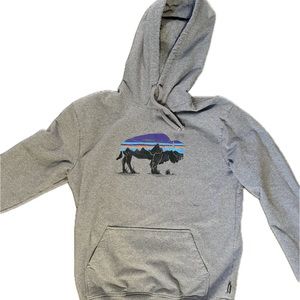 Patagonia hoodie sweatshirt